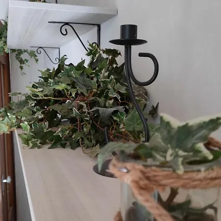 Апартаменты Lilly's House Ловере